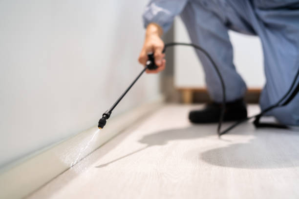Licensed Termite Control service in Montverde, FL - Show Me Pest Control